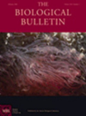 Biological Bulletin期刊
