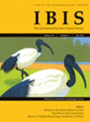 Ibis期刊