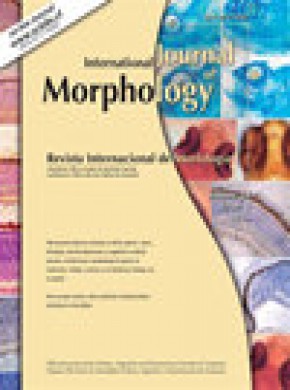 International Journal Of Morphology期刊