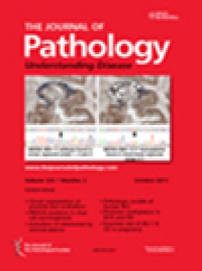 Journal Of Pathology期刊