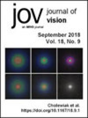 Journal Of Vision期刊