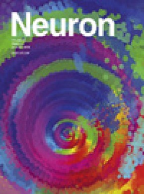 Neuron期刊
