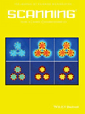 Scanning期刊