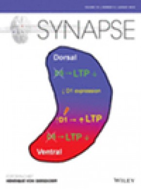 Synapse期刊