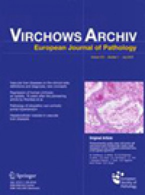 Virchows Archiv期刊