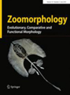 Zoomorphology期刊