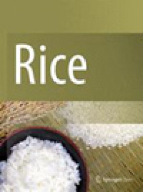Rice期刊