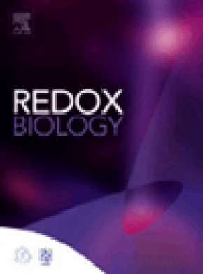Redox Biology期刊