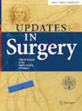 Updates In Surgery期刊