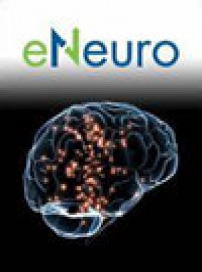Eneuro期刊