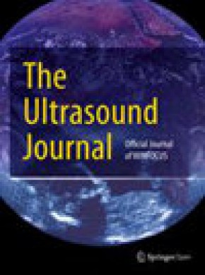 Ultrasound Journal期刊