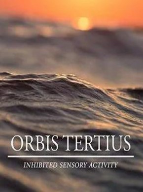 Orbis Tertius期刊