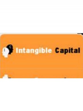 Intangible Capital期刊