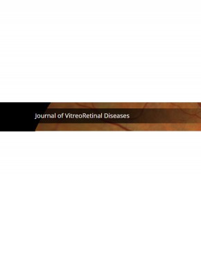 Journal Of Vitreoretinal Diseases期刊