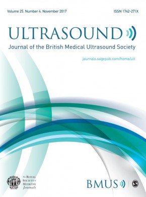 Ultrasound期刊