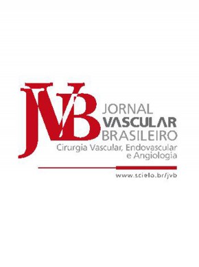 Jornal Vascular Brasileiro期刊