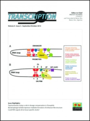 Transcription-austin期刊