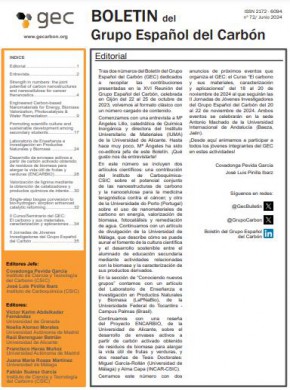 Boletin Del Grupo Espanol Del Carbon期刊