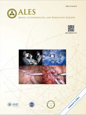 Annals Of Laparoscopic And Endoscopic Surgery期刊