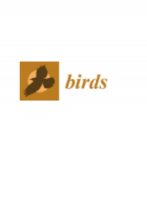Birds期刊