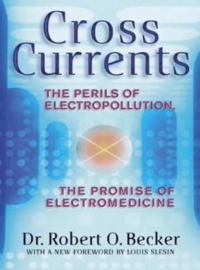 Cross Currents期刊