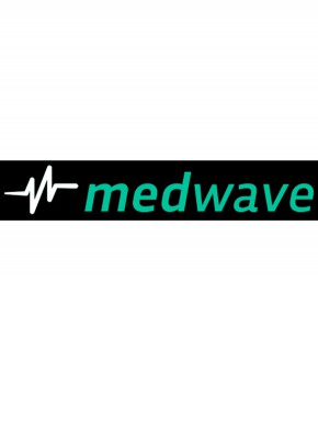 Medwave期刊