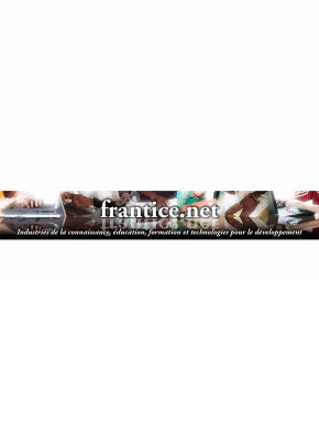 Frantice.net期刊