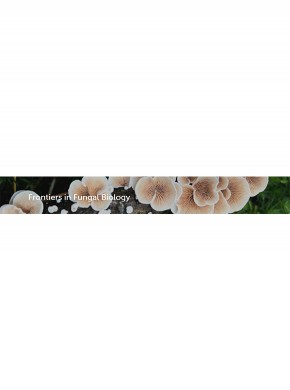 Frontiers In Fungal Biology期刊