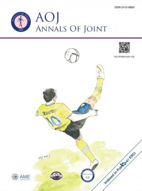 Annals Of Joint期刊