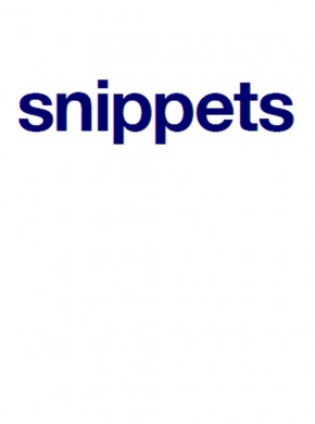 Snippets期刊