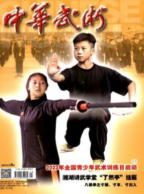 中华武术期刊