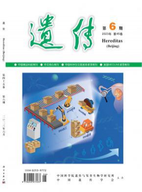 遗传期刊
